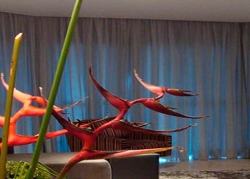 Cortinas